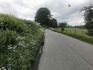 Strathearn marathon. By this time you are not seeing many people