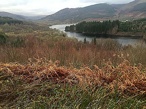 Loch Ard forest. First of the views overlooking Loch Ard