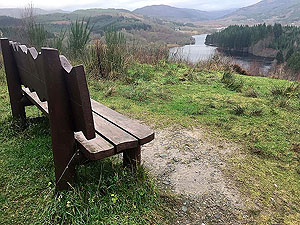 Loch Ard forest. Image from Loch Ard forest