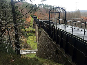 Loch Ard forest. Climb up the grassy slope to get some intersting pictures