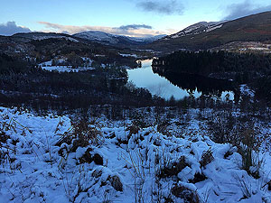 Loch Ard forest. Image from Loch Ard forest