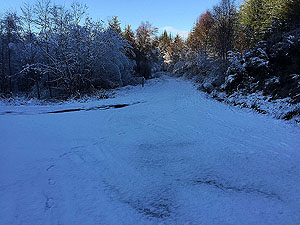 Loch Ard forest. Although you turn left here, the route to the right can provide some lovely photos.  Take 0.5Km down to the loch and then return.