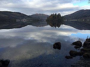 Loch Ard forest. Image from Loch Ard forest