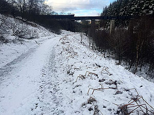 Loch Ard forest. Another viaduct view