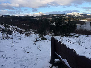 Loch Ard forest. Image from Loch Ard forest