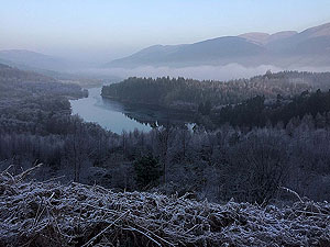 Loch Ard forest. Image from Loch Ard forest