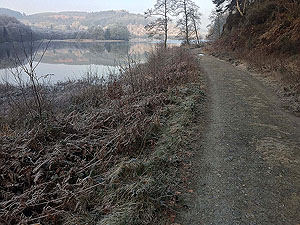 Loch Ard forest. The path is right at the loch edge