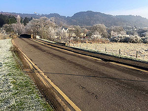 Loch Ard forest. Aberfoyle looking very splendid in the winter sunshine
