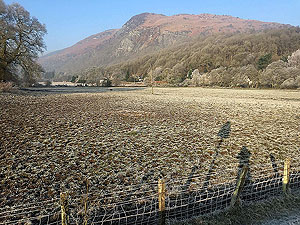 Loch Ard forest. Image from Loch Ard forest