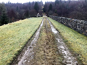 Loch Ard forest. Image from Loch Ard forest