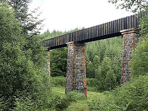 Loch Ard forest. One of the many viaducts this route takes you past.