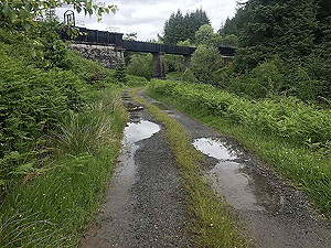 Loch Ard forest. Another viaduct on the route