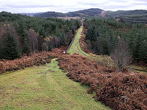Loch Ard forest. Take a little detour and climb the grassy slope up to the pump station.