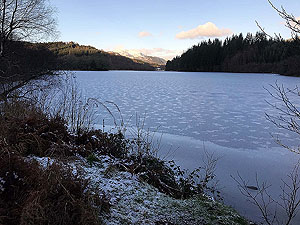 Loch Ard forest. Our favourite spot and offers great photo opertunities.