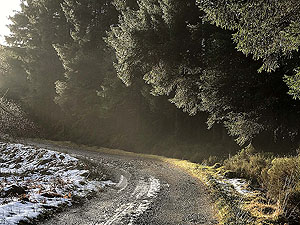 Loch Ard forest. A really nice spot on the run in amongst the trees
