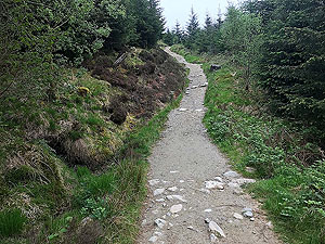 Ben Arthur - The Cobbler. The next section of uphill trail.  A well made path