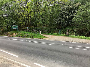 Ben Arthur - The Cobbler. The path at the start of the climb.  Get a wee selfie with the fox at the start