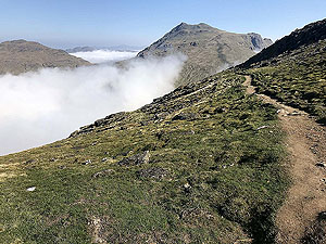 Ben Arthur - The Cobbler. Nice bit of easy trail before you hit the stone stairs.  Be very careful on those stairs