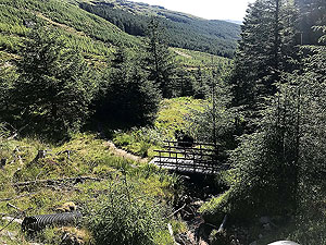 Ardgoil peninsula. Image from Ardgoil peninsula