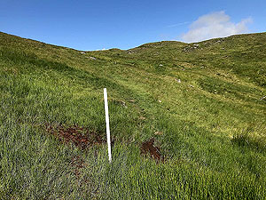 Ardgoil peninsula. Follow the white markers as trail is difficult to make oute