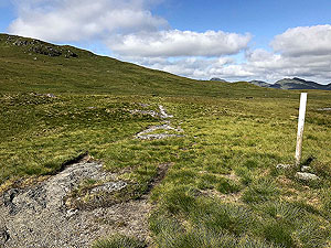 Ardgoil peninsula. The path forward, still the white markers