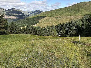 Ardgoil peninsula. The grass on this section can get slippy - even in hot weather