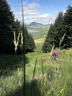 Ardgoil peninsula. A tricky path