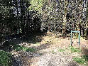 Ardgoil peninsula. Path starts to widen