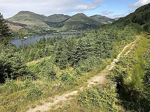 Ardgoil peninsula. Back on a trail path