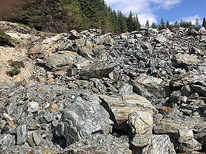 Ardgoil peninsula. This is to the side of the path, you do not run over this.