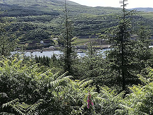 Ardgoil peninsula. The oil terminal