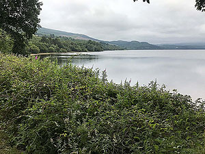 Loch Venachar loop. Picture taken from beside the first picnic spot.