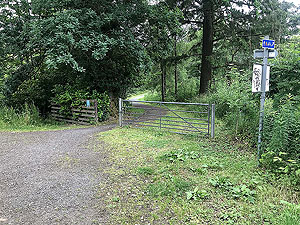 Loch Venachar loop. The second part along the loch takes you onto a trail path.