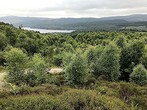 Loch Venachar loop. Image from Loch Venachar loop