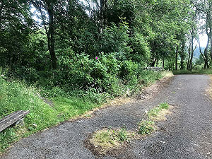Loch Venachar loop. You take the small short path on the left onto the old railway