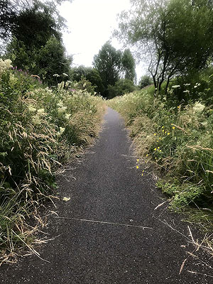 Loch Venachar loop. Image from Loch Venachar loop