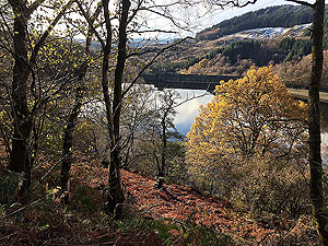 Glen Finglas loop. Dam in early winter