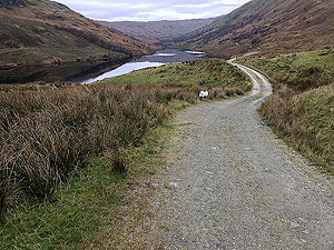 Glen Finglas loop. Final part of the reservoir