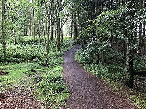 Kinnoull Hill. Good running path