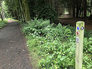 Kinnoull Hill. Must get a map for these