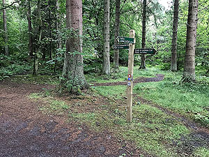 Kinnoull Hill. More maps