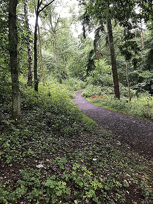 Kinnoull Hill. A bit of a climb on nice path
