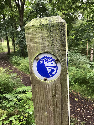 Kinnoull Hill. The blue markers are Kinnoull Tower though hard to make out