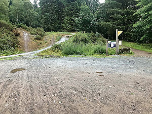 Kinnoull Hill. Popular area with cyclists