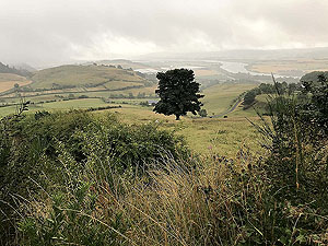Kinnoull Hill. View down the river towards Dundee