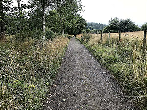 Kinnoull Hill. Path back down towards the car park