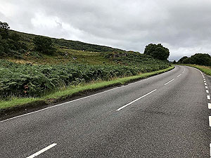 Mull half marathon. Image from Mull half marathon