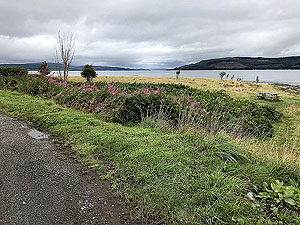 Mull half marathon. Image from Mull half marathon