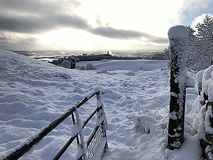 Cocksburn reservoir loop. Looking back towards the Wallace monument