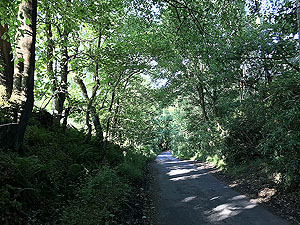 Cocksburn reservoir loop. Descent back towards the start